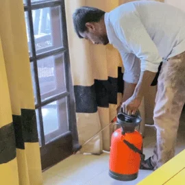 Pest Services in India